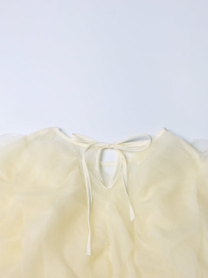 Dreamy Apricot Ruffled Organza Crop Top